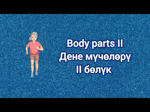 Видео: Body parts - II Дене мүчөлөрү - II