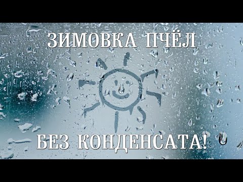 Видео: Зимовка пчёл без конденсата! | Wintering bees without condensation!
