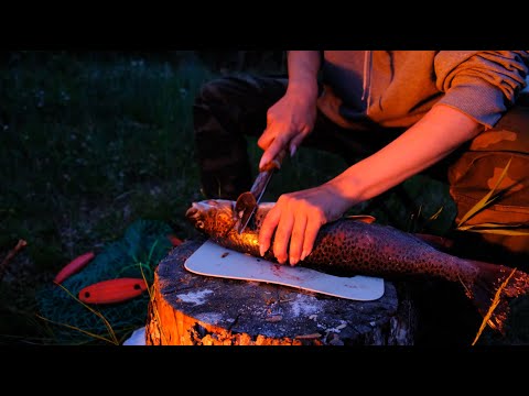 Видео: 3 ДНЯ В ТАЙГЕ | АММА, ӨННЬҮӨС-ЛЭЭГИ| СЕРИЯ 3[Трип по Якутии]