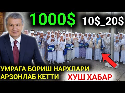 Видео: ХУШ ХАБАР УМРАГА БОРИШ НАРХЛАРИ АРЗОНЛАДИ 2024 #умра_нархлари #hajj_umra_ziyorati_2024