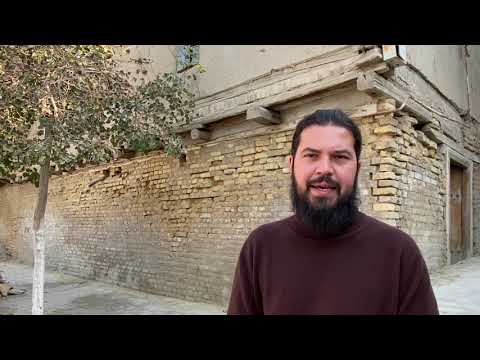 Видео: Лев и молоко в персидском языке