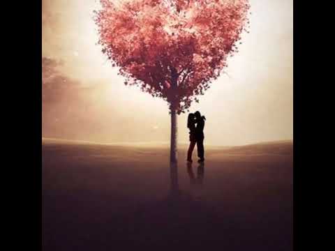 Видео: Незоконченный роман И. Крутой исп Ардақ Байдрахманов