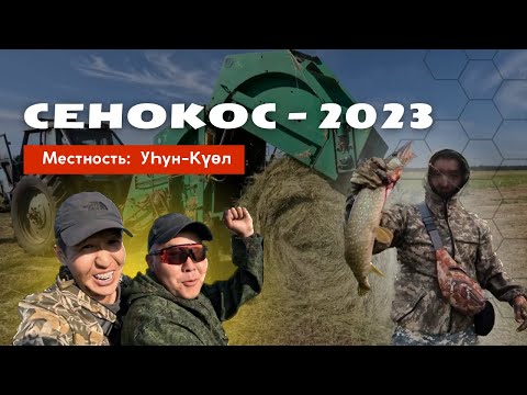 Видео: Сенокос 2023 (Нюрбинский район, с. Кюндядя)