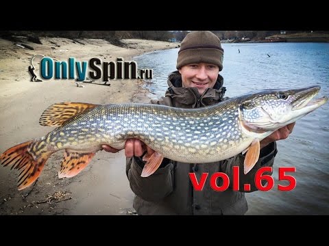 Видео: Активный поиск рыбы  Ходовая рыбалка со спиннингом  #OnlySpin
