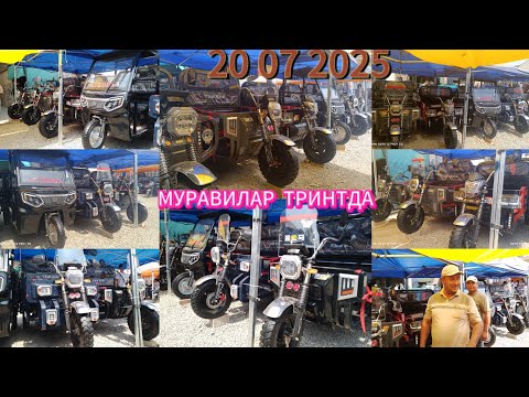 Видео: МУРАВИЛАР ЯНГИ ВИРСА, Н ШАХРИТУЗ ИНОМ БОЗОРДА