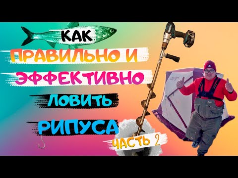 Видео: Ловля рипуса на Увильдах. Рыбалка. Рипус рыбалка. Как ловить рипуса. Рипус Увильды.  Часть2