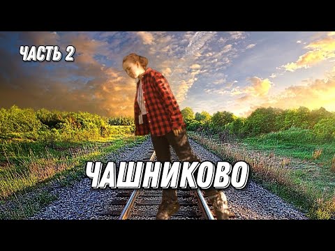 Видео: VLOG Чашниково МГУ [2] | Летняя практика по геологии, геодезии, почвоведению📷