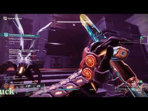 Видео: "Состязание Старейшин"