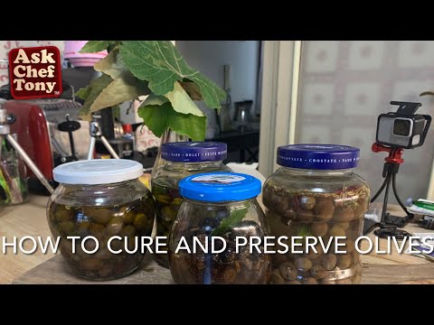 Видео: Как консервировать оливки