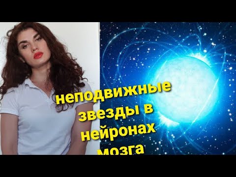 Видео: Неподвижные звезды в нейронах