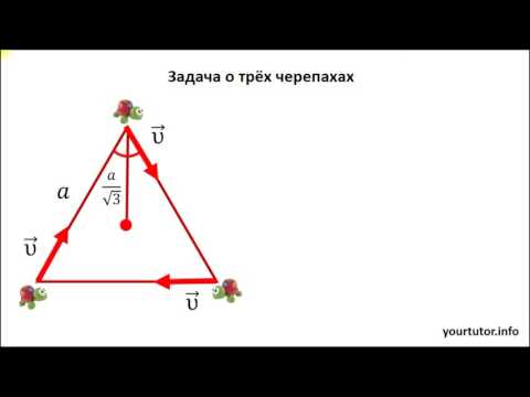 Видео: Задача о трёх черепахах