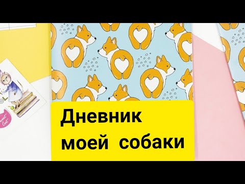 Видео: Дневник моей собаки 🐶📒