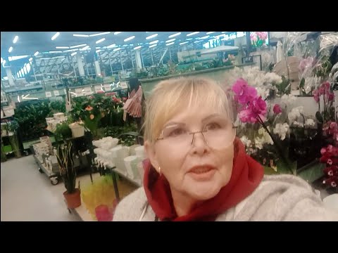 Видео: 14.11.2025.МНОГО КРАСОТЫ ПРИВЕЗЛИ В С/Ц ЭПИЦЕНТРА г.ДНЕПР, на СЛОБОЖАНСКОМ 👍🌺🙋