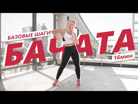 Видео: БАЧАТА для начинающих. Базовые движения | Танцевальная тренировка | Mote Fitness