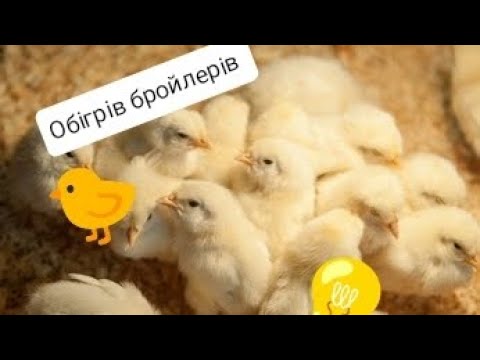 Видео: Обігрів бройлерів таблиця