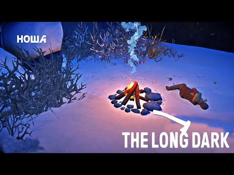 Видео: 53. Ноша ヾ(•ω•`)o - The long dark