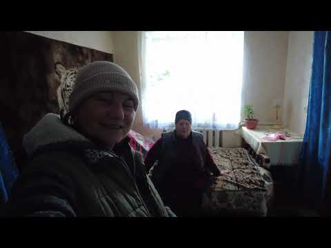 Видео: 🐈В селе у СВЕКРУНЬКИ🙋‍♀️🏡