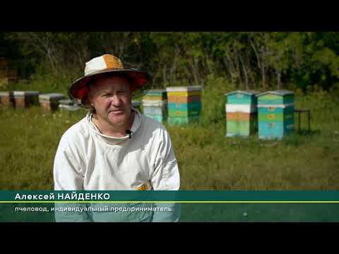 Видео: Биологическое средство защиты растений Лепидоцид®