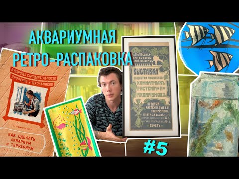 Видео: Выставка аквариумов 1905 г /  Монпансье со Скаляриями / Аквариум неизвестного художника / Иванченко