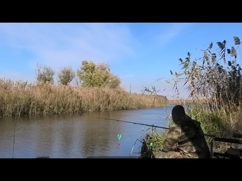 Видео: Рыбалка на Волге.