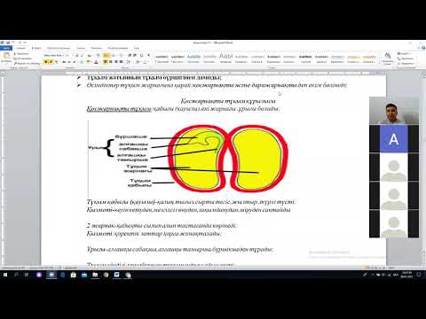 Видео: ҰБТ/Биология/ Өсімдіктің генеративті мүшелері/Тұқым