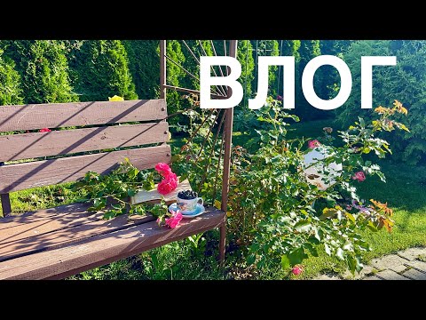 Видео: ВЛОГ. Что привезла из Воронежа и что купила в Москве)