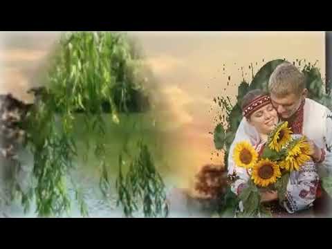 Видео: Похилились вербоньки