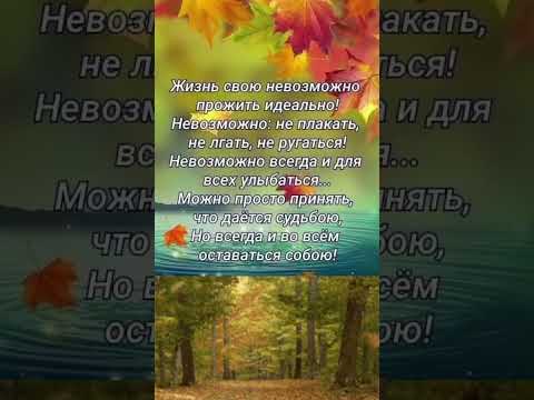 Видео: #стихиожизни #стихиолюбви #осень