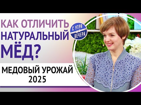 Видео: Медовый урожай 2025. Как отличить натуральный мёд?