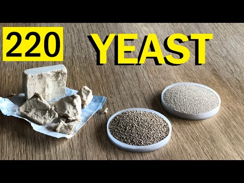 Видео: 3,5 типа пекарских дрожжей: ПОЛНОЕ РУКОВОДСТВО