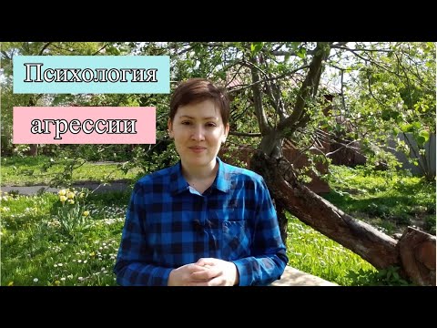 Видео: Психология агрессии: фрустрация, депрессия, власть, мазохизм, подавление гнева