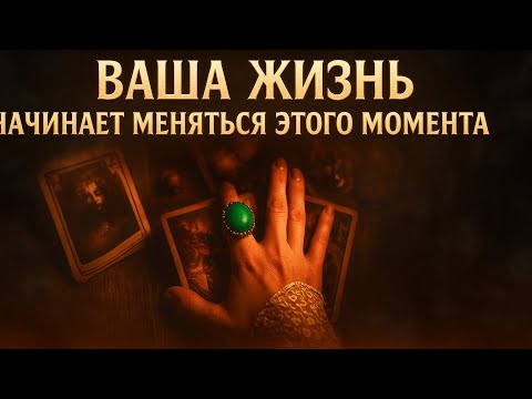 Видео: Вы даже не представляете, во что превращается ваша жизнь…» ✨