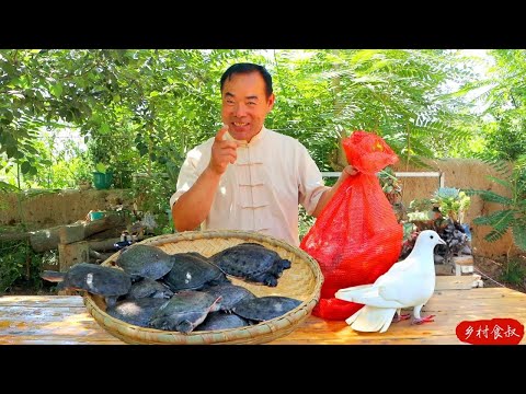 Видео: золотых черепах и свиней, тушеные вместе! Вкус как в раю!  | Дядя сельский гурман