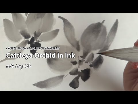 Видео: Простой урок китайской живописи: орхидея каттлея тушью