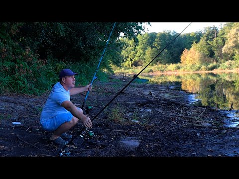 Видео: НА ДИКАРЕ КЛЕВАЛА ЩУКА И САЗАН! РЫБАЛКА НА КРАСИВОМ ОЗЕРЕ!