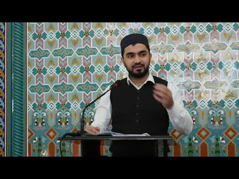 Видео: ВОСПИТАНИЕ НРАВОВ ОБЩЕСТВА