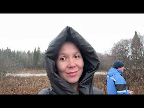 Видео: Гости в деревенском доме | мышиный улов | первые шаги сына