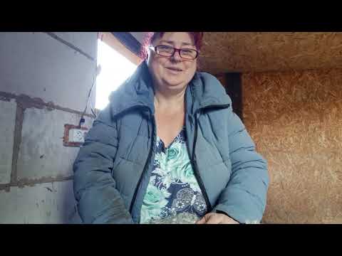 Видео: Пух персюк как он выглядит, надергала 350 грамм,8 ноября 2025 г.