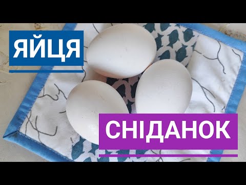 Видео: П'ЯТЬ простих і смачних СНІДАНКІВ з курячих ЯЄЦЬ...