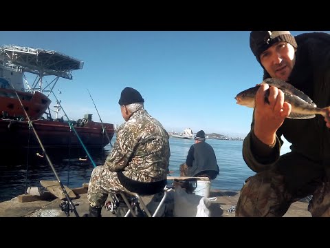 Видео: РЫБАЛКА НА ОКУНЯ ТЕРПУГА. ОГРОМНАЯ РЫБА СЛОМАЛА СПИННИНГ!