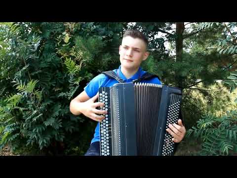 Видео: Песня на баяне "Звёздочка тучку задела"☁️