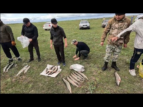 Видео: Турнир 2024 Атбасар