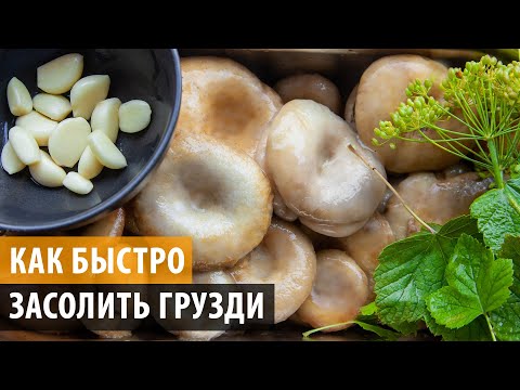 Видео: КАК СОЛИТЬ ГРУЗДИ БЫСТРО И ВКУСНО! Грузди соленые - простой и проверенный рецепт