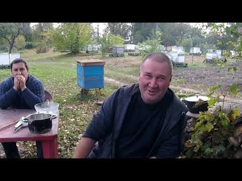 Видео: В гостях на пасеке у Никуткина Г.М. Было очень интересно и вкусно.