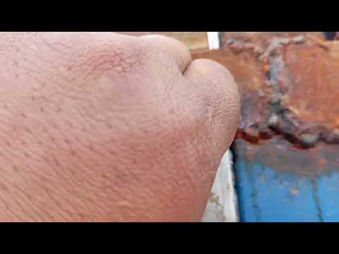 Видео: Боз як Гармхонаи замонави дар нохияи Панч