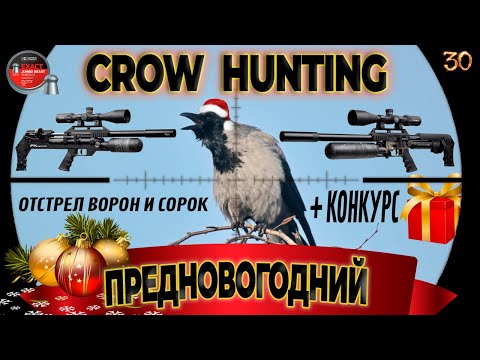 Видео: Предновогодняя Охота на Ворону с FX Impact M3/ №30. AIR GUN HUNTING 2023. Кроухантинг. Jack Hunter.