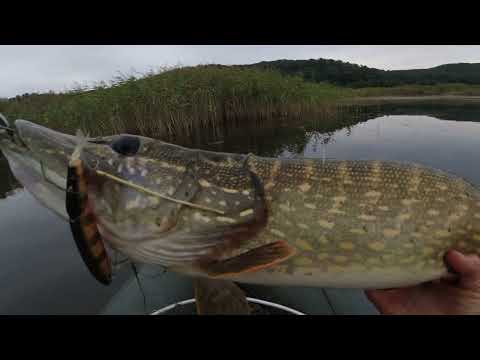 Видео: Магалон порвав сезон.Як щукі дати під сраку,що вона залетіла в підсаку.