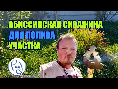 Видео: Скважина для мамы #абиссинскаяскважина