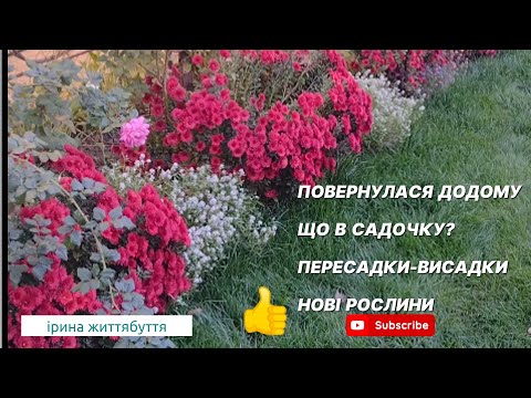 Видео: Повернулася додому.  Що в садочку?  Пересадки ,висадки, нові рослини.