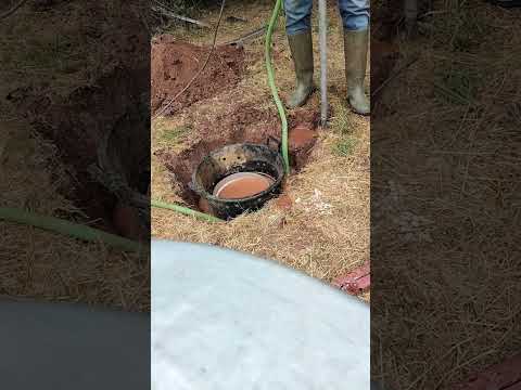 Видео: 15 юли 2025 г.